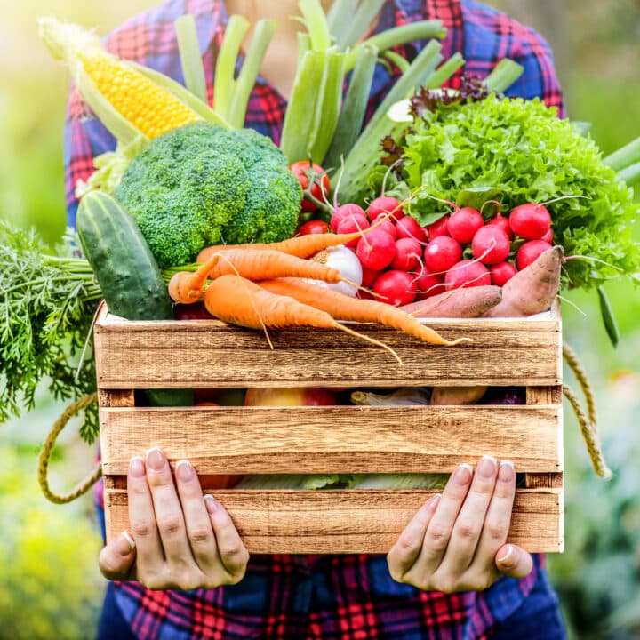 Farmer woman holding wooden box full of fresh raw vegetables. Basket with vegetable (cabbage, ...